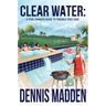 Clear Water: A Pool Owner's Guide To Trouble Free Care