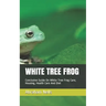White Tree Frog: Conclusive Guide On White Tree Frog Care, Housing, Health Care And Diet
