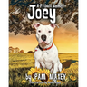 A Pitbull Named Joey