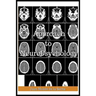Approach To Neuropsychology