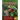 Rainforest Rangers
