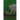 Fool's End