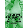 A Guide to Pruning the Roots of Fruit Trees