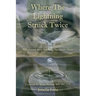 Where the Lightning Struck Twice: A Collection about Surviving Narcissistic Abuse
