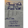 Through Winds of Prairie Dust