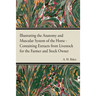 Illustrating the Anatomy and Muscular System of the Horse - Containing Extracts from Livestock for the Farmer and Stock Owner