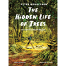 The Hidden Life of Trees: A Graphic Adaptation: (Of the International Bestseller)