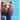 Grizzly Grizzly Goose