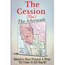 The Cession - Part 2 - The Aftermath