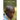 We Cannot Forget: Interviews with Survivors of the 1994 Genocide in Rwanda