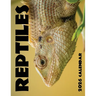 Reptiles 2026 Calendar
