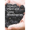 Simple How-To Plant and Grow Blackberries