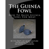 The Guinea Fowl: How To Raise Guinea Fowl For Meat