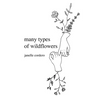 many types of wildflowers