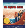 The Boy in the Red Hat: A Collection of Stories by Lysha Dunsworth