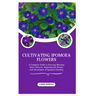 Cultivating Ipomoea Flowers: A Complete Guide to Growing Morning Glory Flowers, Depicting the Beauty and Advantages of Ipomoea Farming