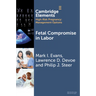 Fetal Compromise in Labor
