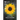 What Do You See?