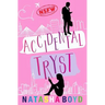 Accidental Tryst: A Romantic Comedy