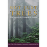Not Just Trees: The Legacy of a Douglas-Fir Forest