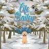 Life of Bailey: Bailey's First Winter