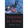 Vesuvius at Home
