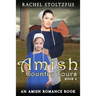 Amish Country Tours Book 2