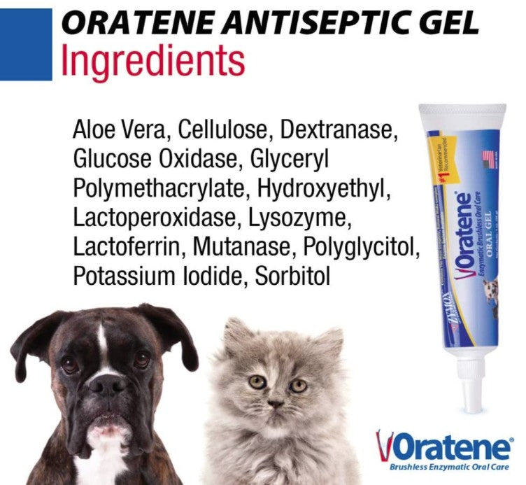 Zymox Oratene Enzymatic Oral Gel - Non-Irritating Pet Antiseptic Dental Care by Dog Hugs Cat