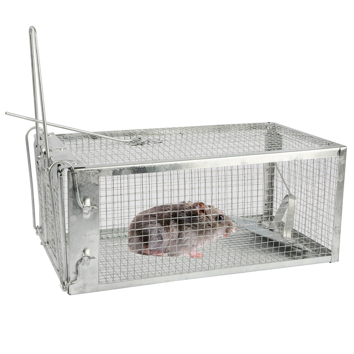 Rat Trap Cage Humane Live Rodent Trap Cage Galvanized Iron Mice Mouse Control Bait Catch with Detachable U Shaped Rod