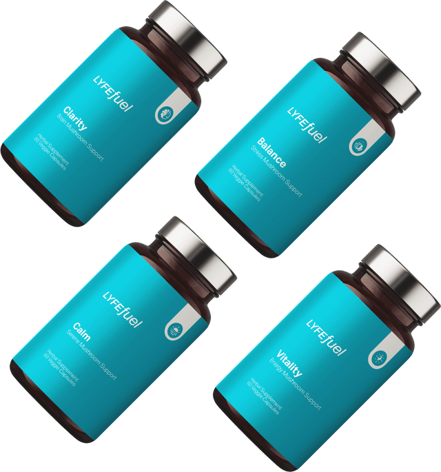 Adaptogen Bundle by LyfeFuel - Vysn