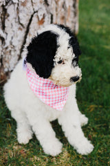 Baby Pink Houndstooth Reversible Dog Bandana by Uptown Pups - Vysn