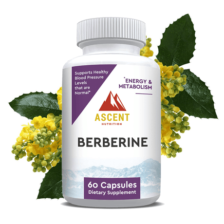 Berberine by Ascent Nutrition - Vysn