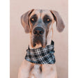 Blackberry Dog Scarf by Dope Dog Co - Vysn