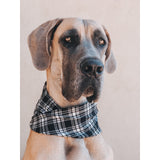 Blackberry Dog Scarf by Dope Dog Co - Vysn