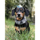 Blackberry Dog Scarf by Dope Dog Co - Vysn