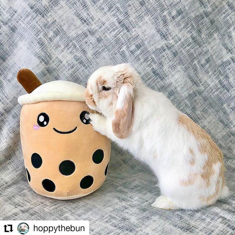 Boba Plushie XL 🧋 by Subtle Asian Treats - Vysn