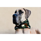 Can't See Me Camo Dog Scarf by Dope Dog Co - Vysn