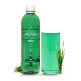 Chlorophyll Water® (Case of 6): Purified Mountain Spring Water with Essential Vitamins by Chlorophyll Water - Vysn