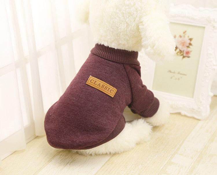 Dog Classic Winter Sweater by Dach Everywhere - Vysn