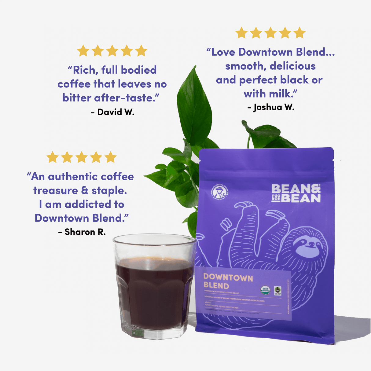 Downtown Blend by Bean & Bean Coffee Roasters - Vysn