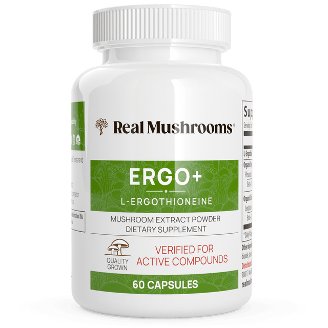 Ergo+ Ergothioneine Supplement by Real Mushrooms - Vysn