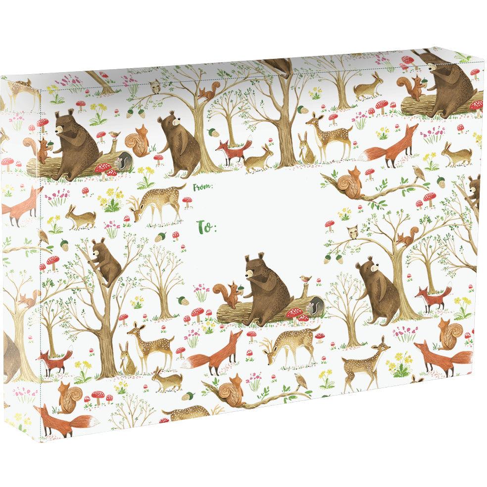 Fairytale Forest Bears Large Baby Printed Gift Mailing Boxes by Present Paper - Vysn