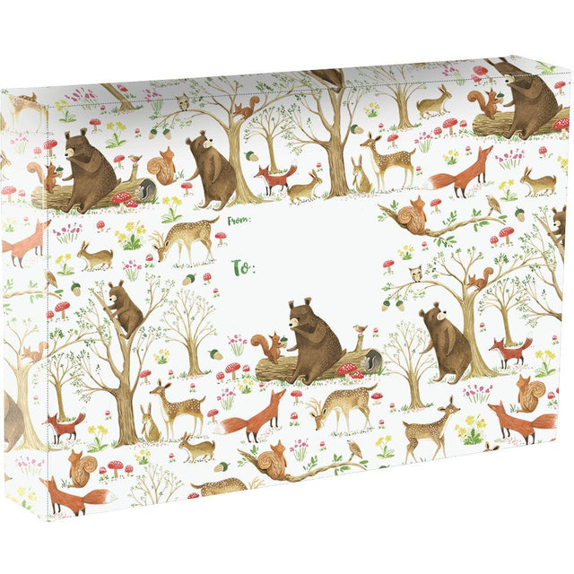 Fairytale Forest Bears Large Baby Printed Gift Mailing Boxes by Present Paper - Vysn