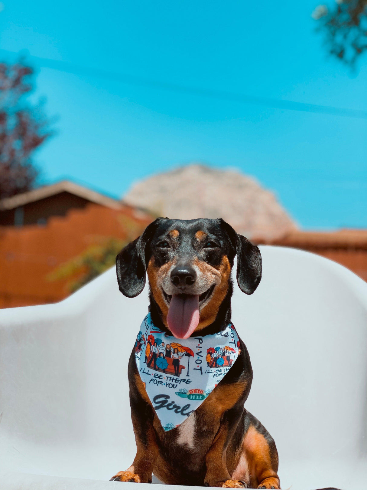 Furiends Bandana by Dope Dog Co - Vysn