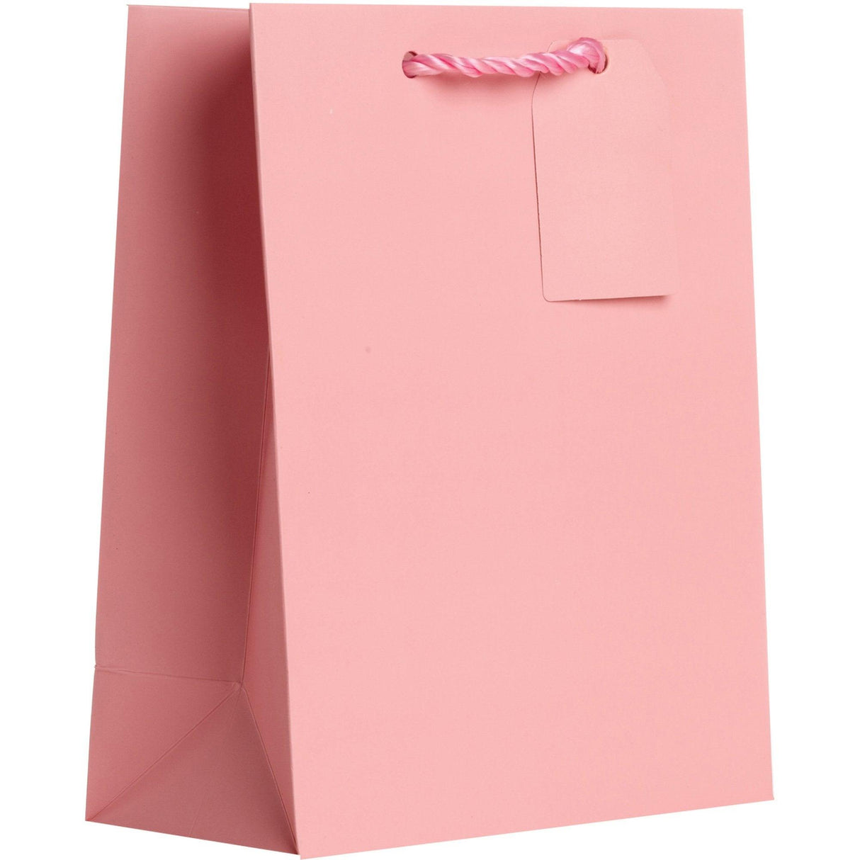 Heavyweight Solid Small Gift Bags, Matte Pastel Pink by Present Paper - Vysn