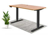 Home Office Standing Desk by EFFYDESK - Vysn