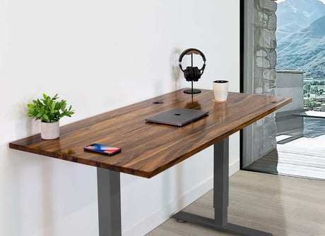 Home Office Standing Desk by EFFYDESK - Vysn