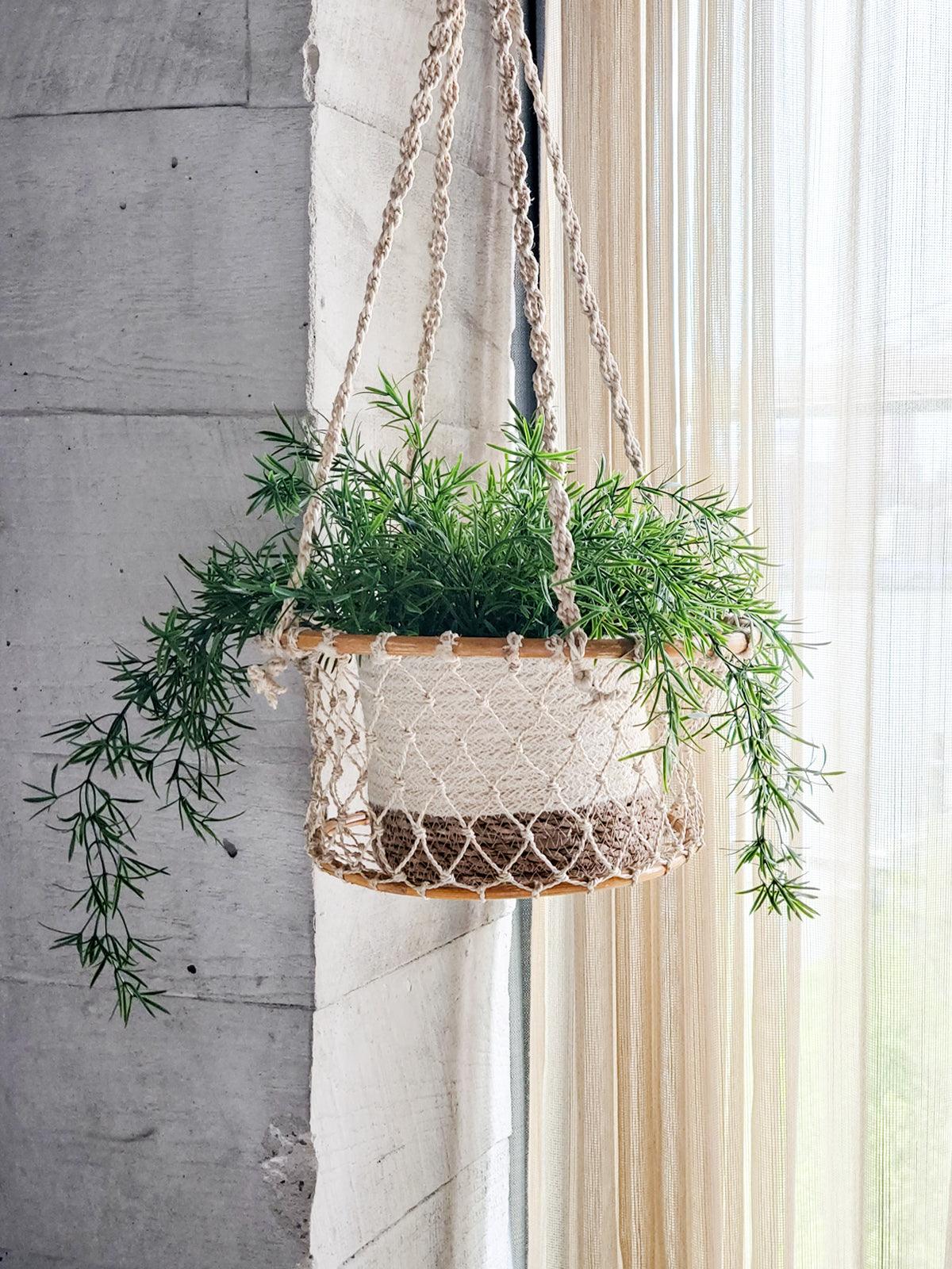 Jhuri Single Hanging Basket by KORISSA - Vysn