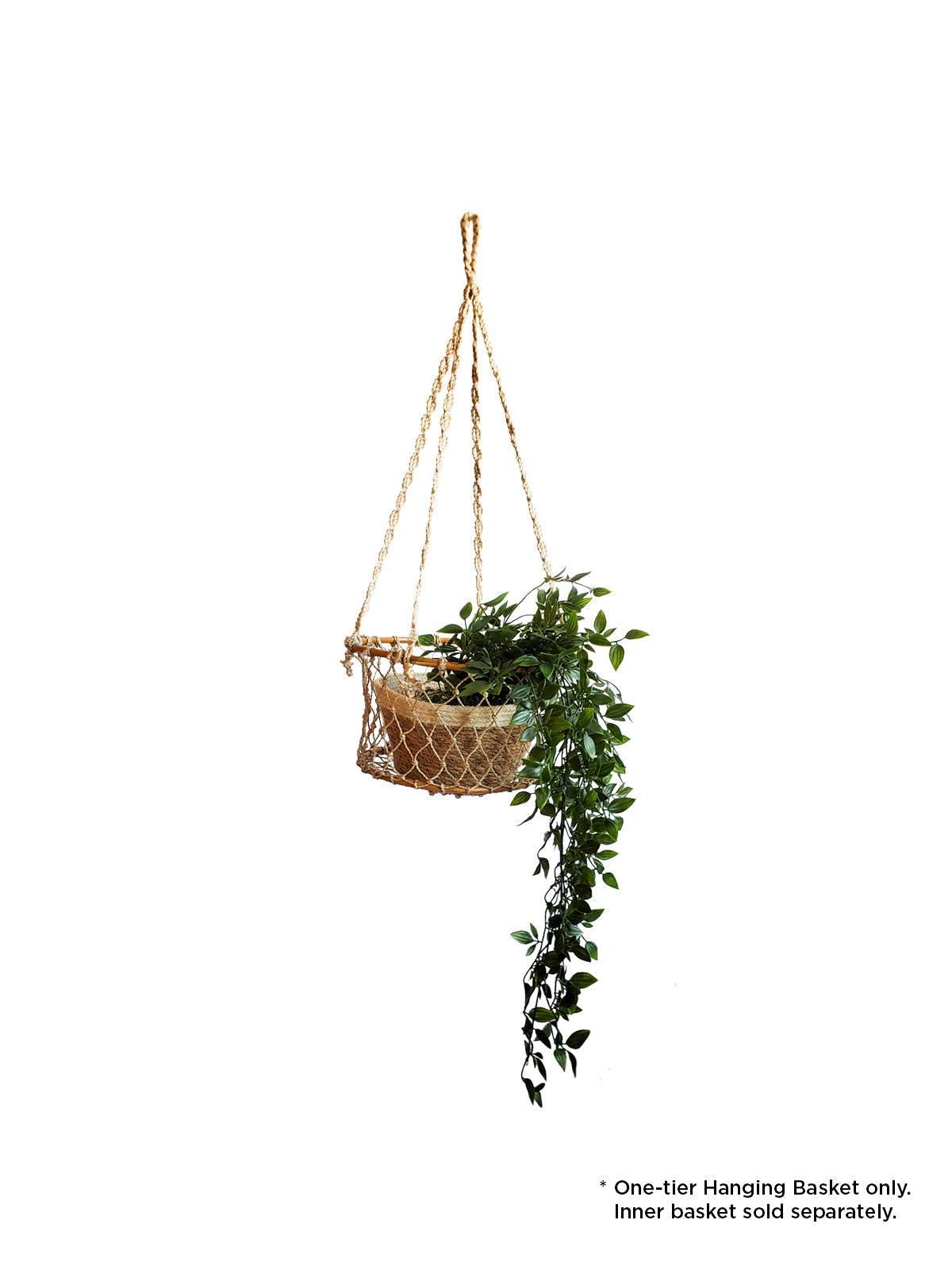 Jhuri Single Hanging Basket by KORISSA - Vysn