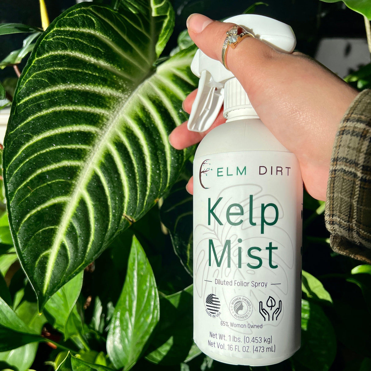 Kelp Mist by Elm Dirt - Vysn